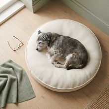 A senior dog asleep on an orthopedic dog bed