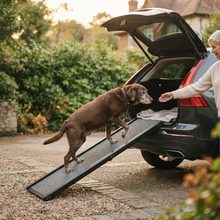 A dog stepping up a folding ramp into an SUV
